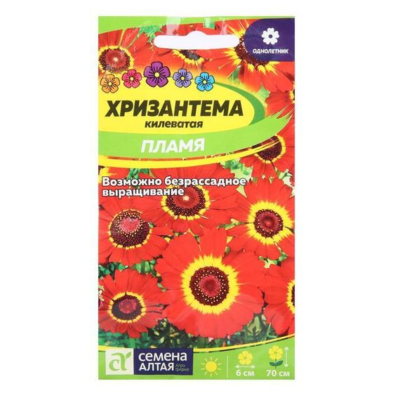 Семена цветов Хризантема &quot;Пламя&quot;, килеватая, Сем. Алт, ц/п, 0,1 г
