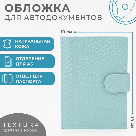 Обложка 2 в 1 для автодокументов и паспорта на кнопке TEXTURA, цвет голубой