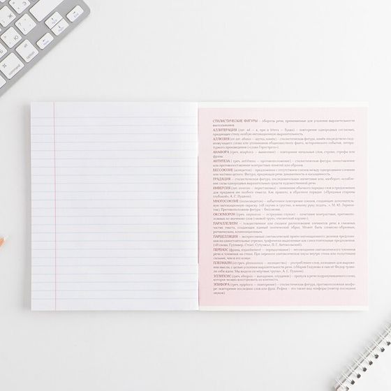 !Тетрадь предметная 48 листов, А5, 5 штук РОЗОВАЯ СЕРИЯ, со справ. мат. «1 сентября: Литература», обложка мелованный картон 230 гр., внутренний блок в линейку 80 гр., белизна 96%