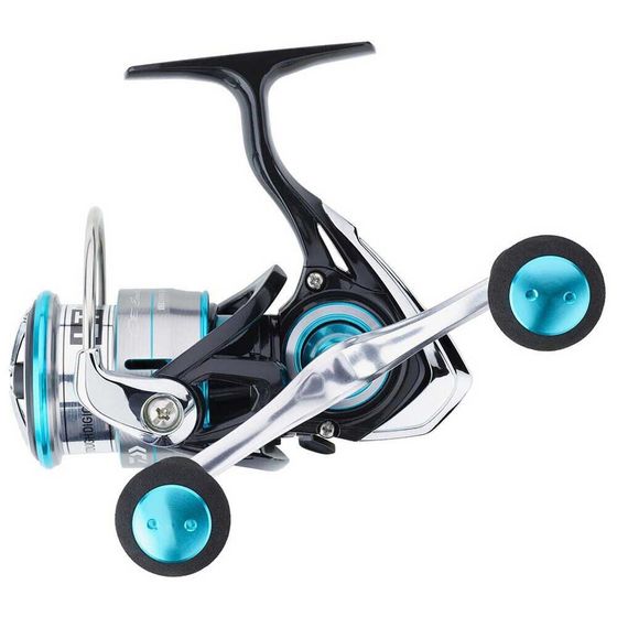 DAIWA Emeraldas V LT 2019 spinning reel