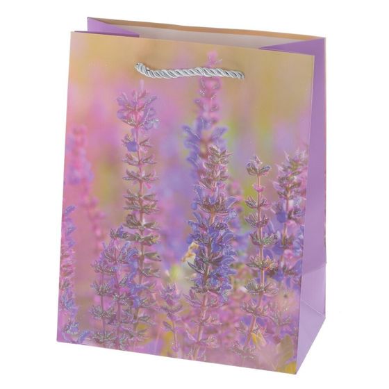 Пакет подарочный (бумага 210г/м2, блок 12шт), L18 W10 H23 см, 4в.