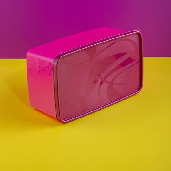 Контейнер для заморозки ALASKA 3.5л фуксия