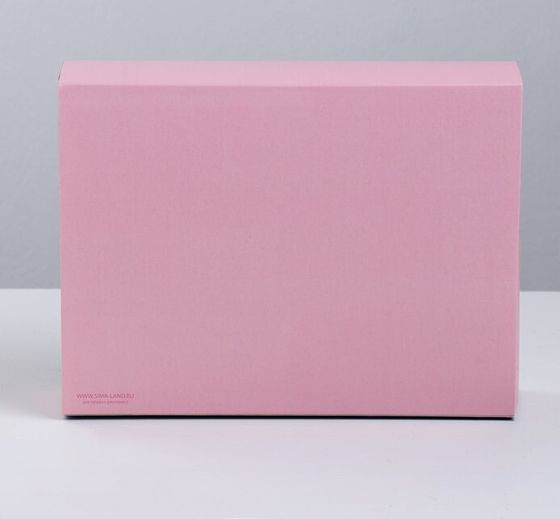 !09 Коробка (набор 5 штук) для сладостей «Маленькие радости», 20 × 15 × 5 см.