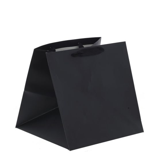 Пакет подарочный (бумага 210г/м2, блок 12шт), L26 W26 H26 см, 4в.