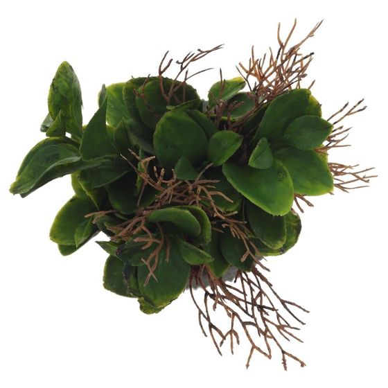 Цветочная композиция, L11 W11 H16 см, 2в.