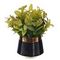 Цветочная композиция, L12 W12 H20 см, 4в.