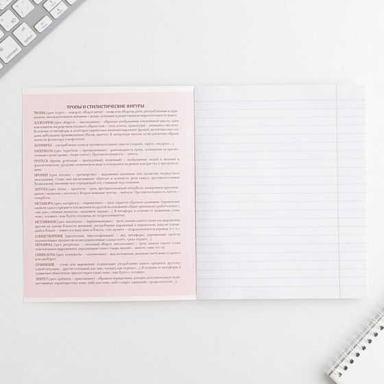 !09 Набор 5 штук: Тетрадь предметная 48 листов, А5, РОЗОВАЯ СЕРИЯ, со справ. мат. « Литература», обложка мелованный картон 230 гр., внутренний блок в линейку 80 гр., белизна 96%