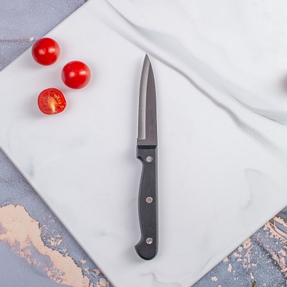 Нож для фруктов CLASSIC 9см