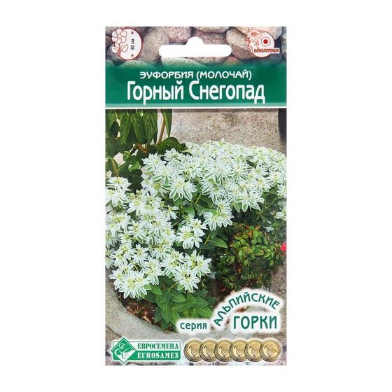 Семена Эуфорбия  молочай  окаймленный &quot;Горный Снегопад&quot;, 10 шт