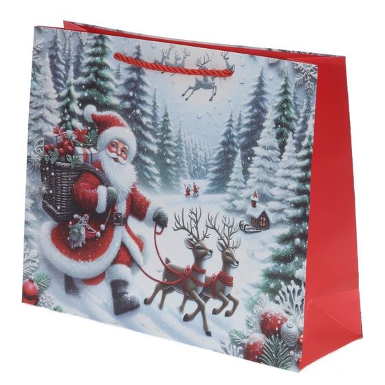 Пакет подарочный (бумага 210г/м2, блок 12шт), L26 W10 H32 см, 4в.