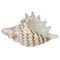 Фигурка декоративная "Ракушка", Д16 Ш8 В9 см