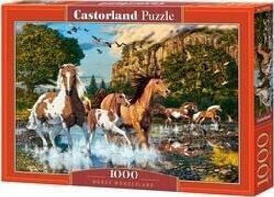 Castorland Puzzle 1000 Konie CASTOR