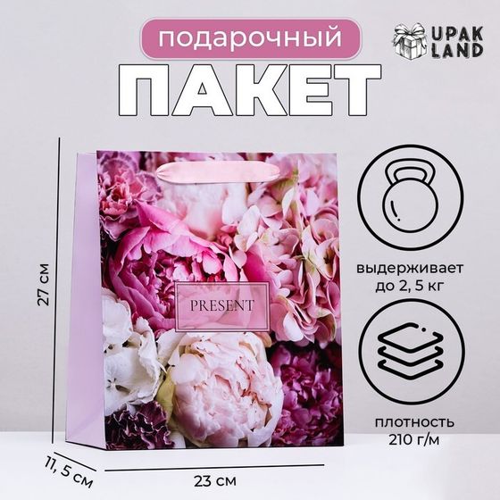 Пакет ламинированный вертикальный PRESENT, 23 х 27 х 11,5 см