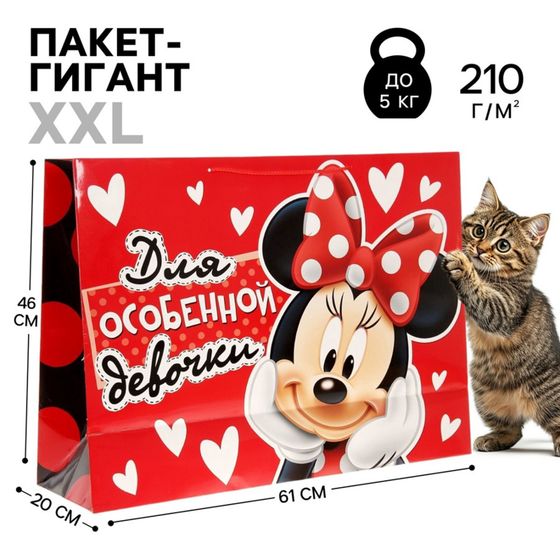 !09 Пакет ламинированный "Для особенной девочки", Минни Маус, 46 х 61 см
