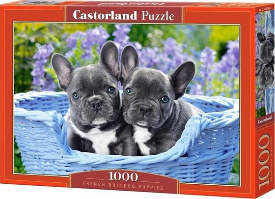 Castorland Puzzle 1000 elementów - Szczeniaczki buldoga francuskiego