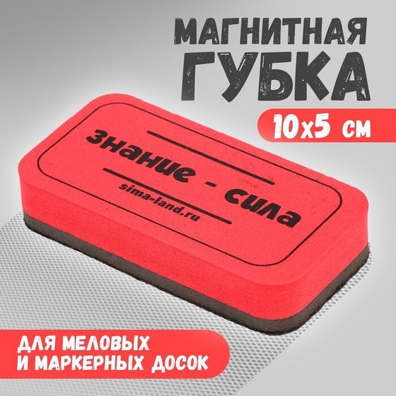 Губка для маркерных и меловых досок «Знание-сила», 10 х 5 см