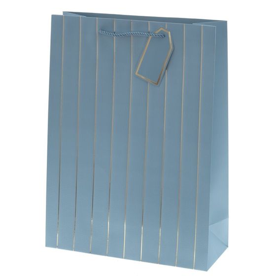 Пакет подарочный (бумага 210г/м2, блок 12шт), L31 W12 H42 см, 9в.