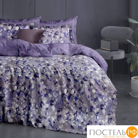 5045/0065 КПБ сем ML NEOCLASSIC &quot;Violet&quot; сатин н(2) 50*70, н(2) 70*70