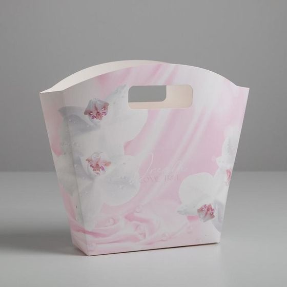 !09 Пакет подарочный z (набор 2 штуки) Dream, 23 × 22 × 6 см.