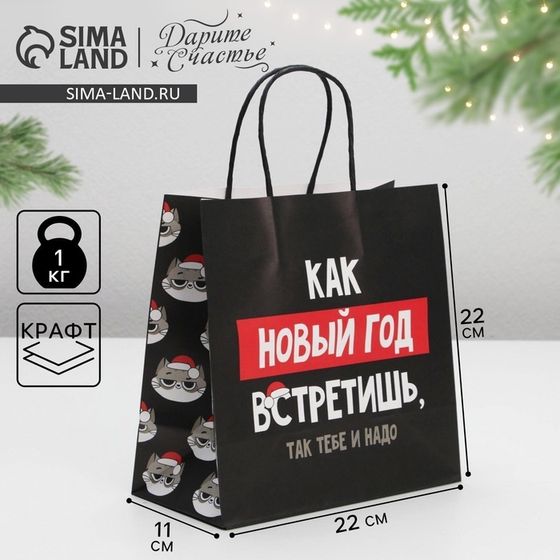 Пакет подарочный новогодний «Так тебе и надо», 22 х 22 х 11 см