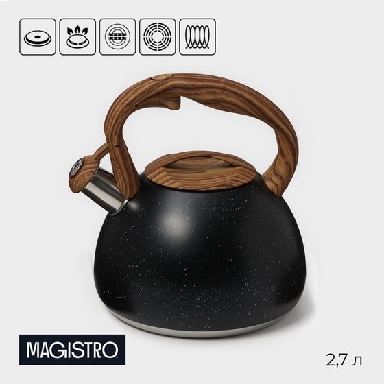 Чайник со свистком из нержавеющей стали Magistro Stone, 2,7 л, ручка soft-touch, индукция, цвет чёрный