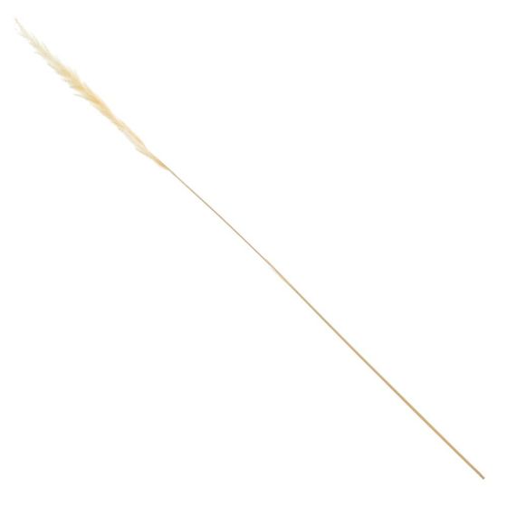 Ветка &quot;Сухоцвет&quot;, набор из 15 шт, L7 W7 H67 см