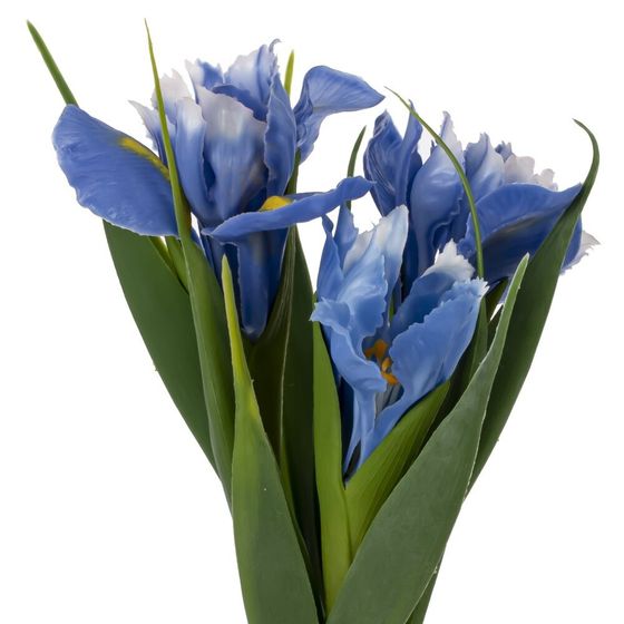 Цветочная композиция &quot;Ирисы&quot;, L12 W12 H28 см