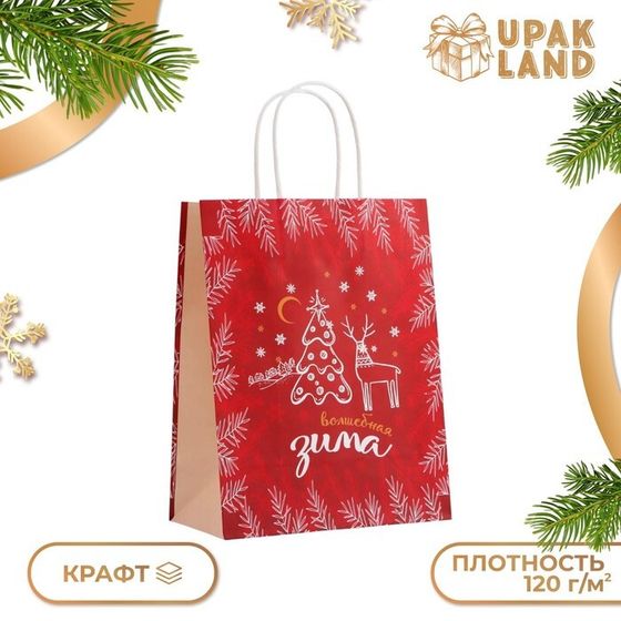 Пакет бумажный подарочный новогодний крафт &quot;Волшебная зима&quot; 27 х 21 х 11 см.