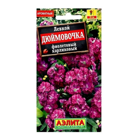 Семена цветов Левкой карликовый &quot;Дюймовочка&quot; фиолетовый, ц/п, 0,1 г