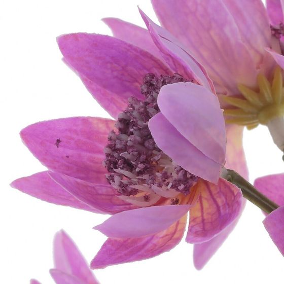 Цветок искусственный &quot;Хризантема кустовая&quot;, L13 W6 H66 см