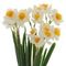 Цветы искусственные "Букет Нарциссов", L10 W6 H30 см