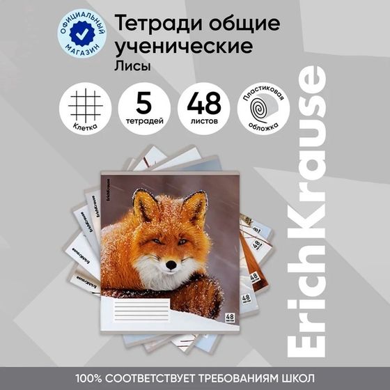 Тетрадь В5, 48 листов в клетку ErichKrause «Лисы», пластиковая обложка, блок офсет, белизна 100%, МИКС