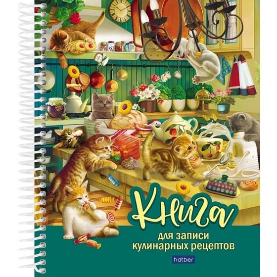 Книга для записи кулинарных рецептов А5, 80 листов на гребне &quot;Котики бывают разными&quot;, твёрдая обложка, с разделителями, 5 цветов, блок 80 г/м2