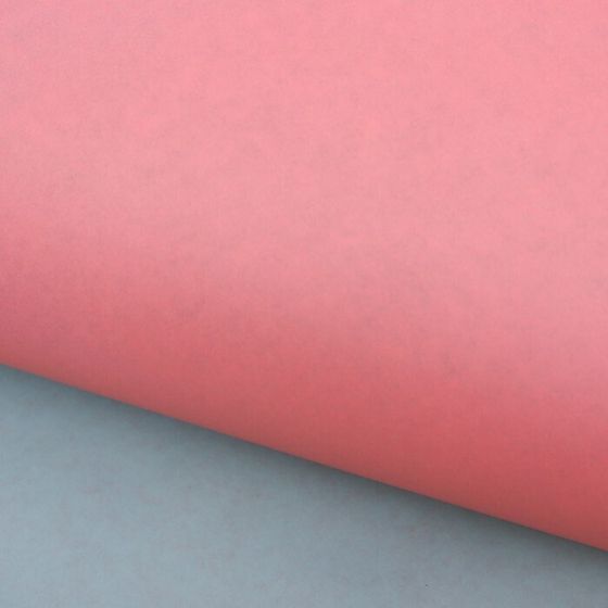 Бумага крафт «Мята и нежность», 2 листа серия Пантон, 50 × 70 см