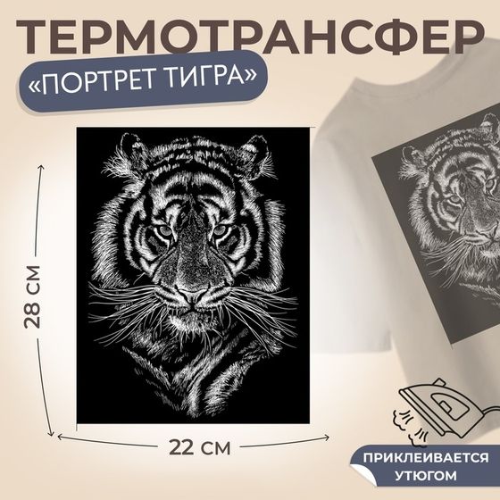 Термотрансфер «Портрет тигра», 22 × 28 см, цена за 1 лист