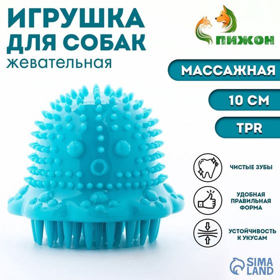 Игрушка массажная для собак &quot;Осьминог&quot; 10 см, ТПР, синяя