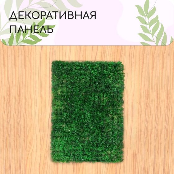 Декоративная панель, 60 × 40 см, «Аспарагус», Greengo