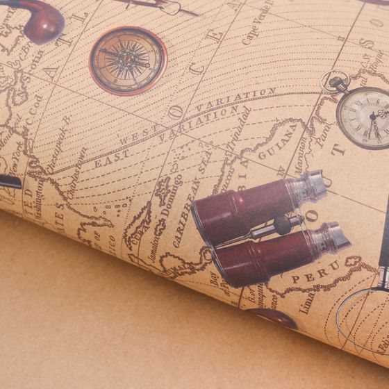 Бумага упаковочная крафтовая «Карта странствий»,  4 листа 50 х 70 см