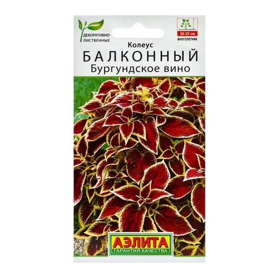 Семена цветов Колеус балконный &quot;Бургундское вино&quot;, ц/п, 5 шт