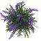 Цветочная композиция &quot;Лаванда&quot;, L8 W8 H21 см
