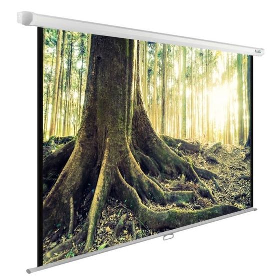 Экран Cactus 220x220см CS-PSWE-220x220-WT, 1:1, настенно-потолочный, рулонный