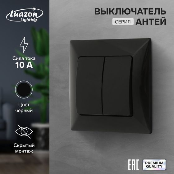 Выключатель Luazon Lighting &quot;Антей&quot;, 10 А, 2 клавиши, скрытый, черный