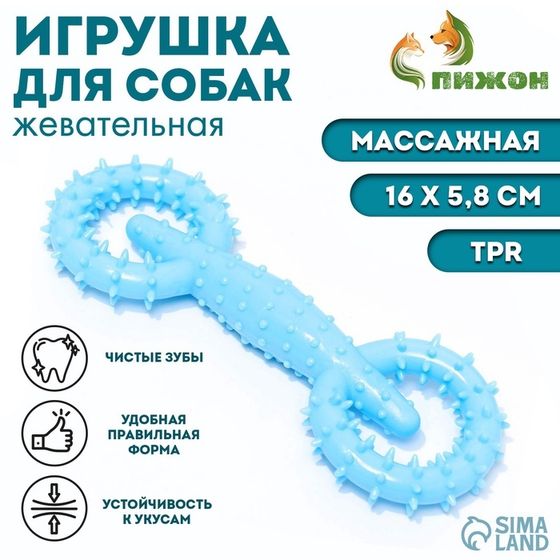 Игрушка для собак &quot;Мотор&quot;, TPR, массажная, 16 х 5,8 см, голубая