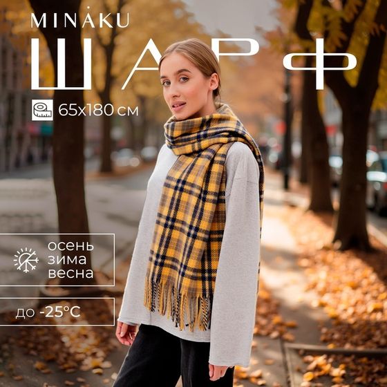 Шарф зимний с кистями MINAKU 65*180 + 8 см клетка