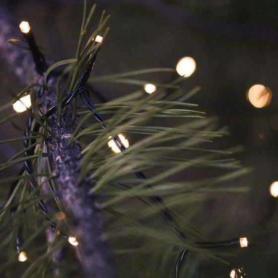 !09 Гирлянда «Нить» 10 м, IP44, УМС, тёмная нить, 100 LED, свечение тёплое белое, 220 В