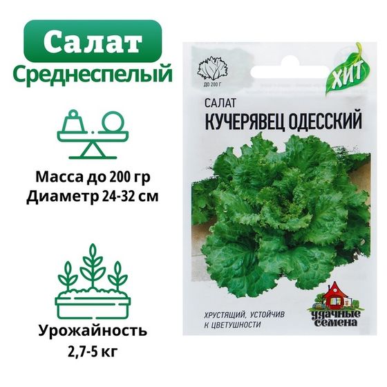 Семена Салат &quot;Кучерявец Одесский&quot; хрустящий, ц/п,  0,5 г  серия ХИТ х3