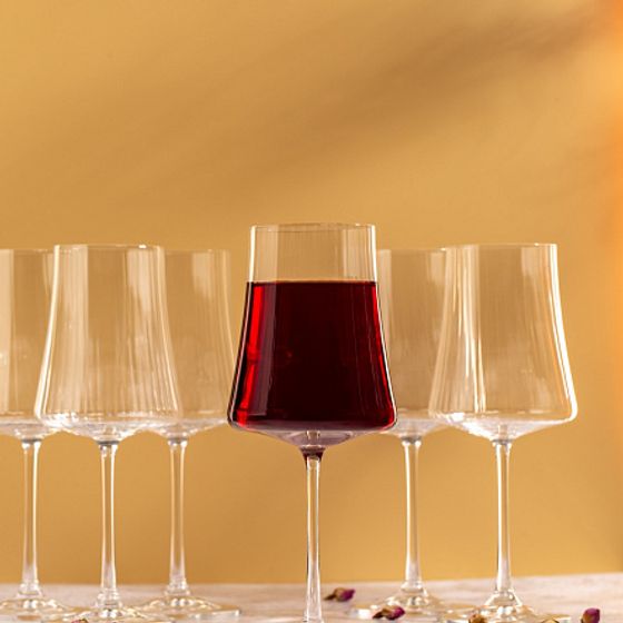 Набор бокалов для вина XTRA OPTIC 460мл 6шт