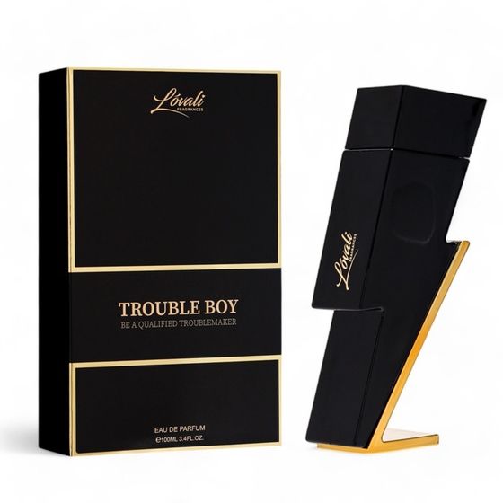 Туалетная вода мужская TROUBLE BOY (по мотивам Carolina Herrera Bad Boy), 100 мл