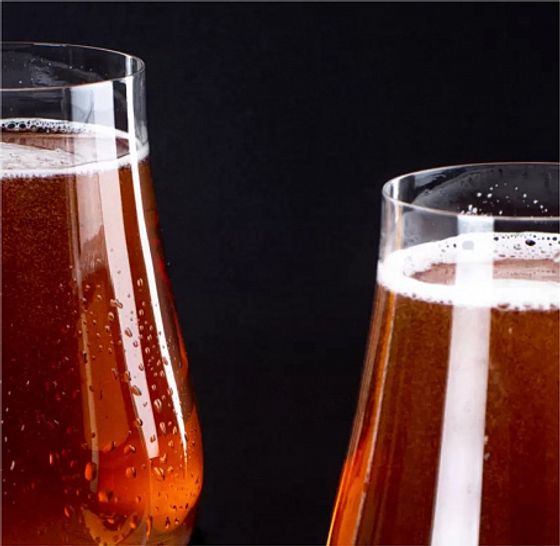 Набор бокалов для пива TULIPA 6шт 540мл