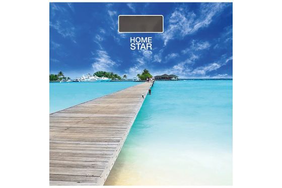 Весы напольные Homestar HS-6001 180кг мультиколор